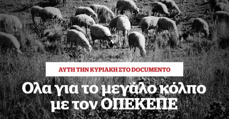 445 25 05 2025 facebookpromo 768x461 1