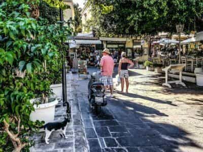 Rhodes 2449156 1920 1 600x337 1