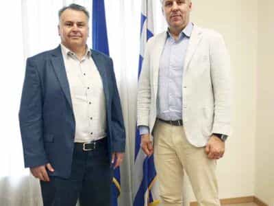 Tsitiridis topsidis 1