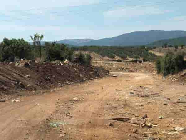 Όλα όσα πρέπει να γνωρίζετε για τις δερματικές λοιμώξεις