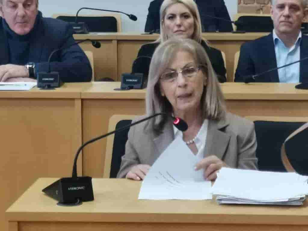 Κοπή Βασιλόπιτας στην Αδελφότητα Μικρασιατών Ν. Σερρών “Ο Άγιος Πολύκαρπος”