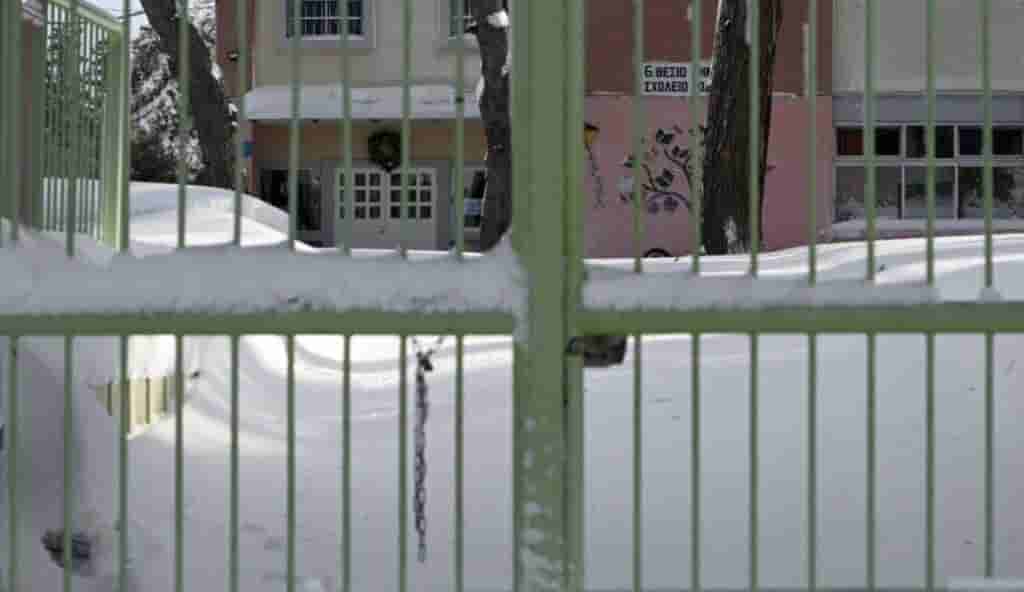 Αλεπού εμφανίστηκε στο Παγκράτι και έκανε βόλτα στους δρόμους της περιοχής