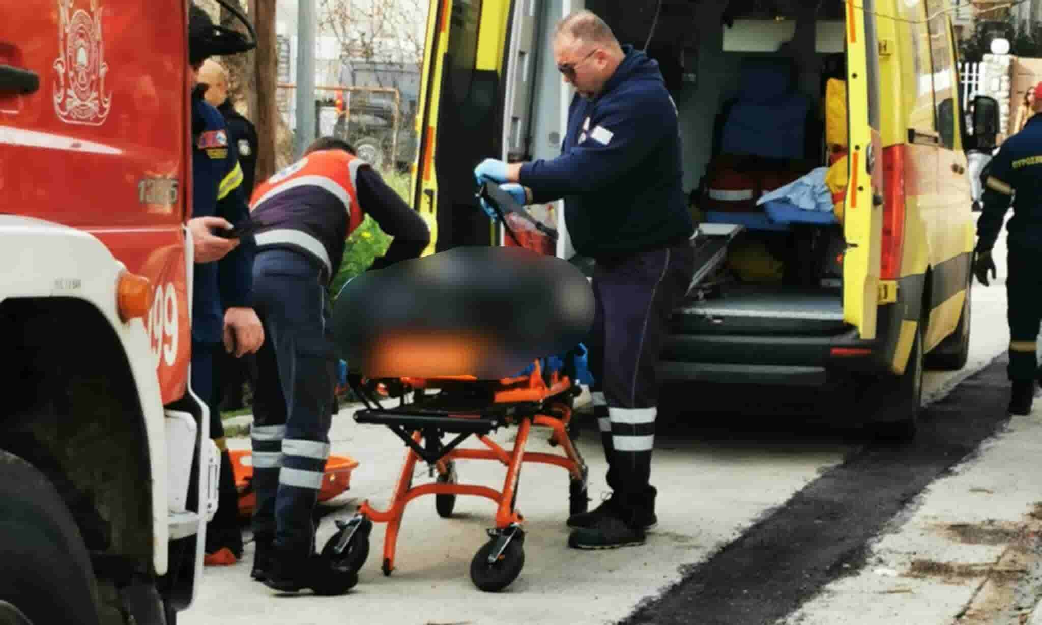 Κτηνωδία στην Μεσσηνία: Σκότωσαν σκύλο και τον κρέμασαν σε δέντρο – ΣΚΛΗΡΕΣ ΕΙΚΟΝΕΣ