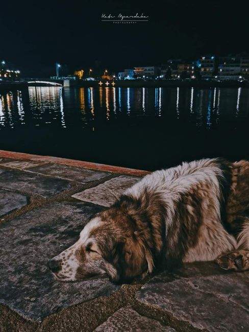 Δελτίο καιρού στις 13:15 – 04-02-2026