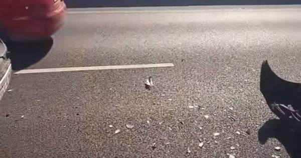 Android 17: H Google ανέβαλε την κυκλοφορία της Beta έκδοσης άνευ εξήγησης