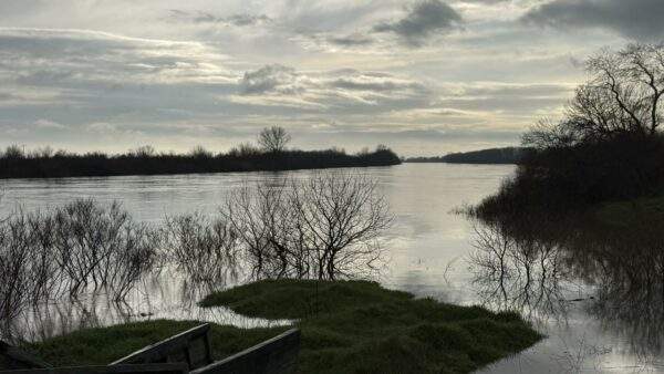 Χειροκροτήματα για τον ιδιοκτήτη της Βιολάντα: Τι λένε οι εργαζόμενοι και γιατί τον στηρίζουν
