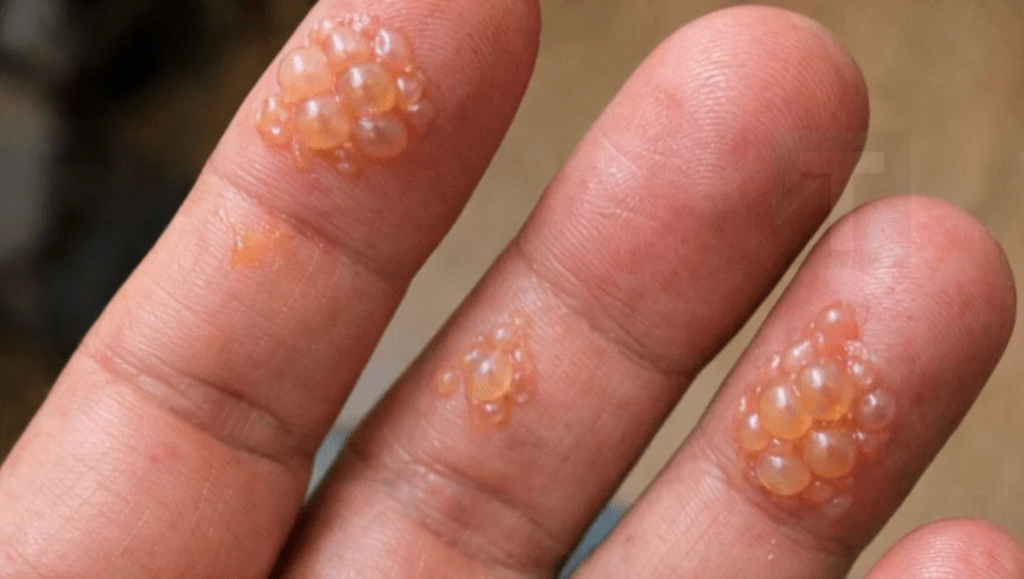 F1fan.gr The Podcast – Ep.22 – Από δοκιμές πάμε καλά;