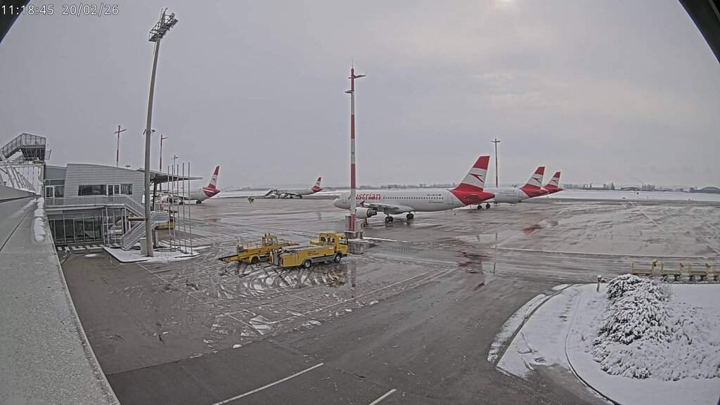 Αυθεντικές οι φωτογραφίες από τις εκτελέσεις στην Καισαριανή, 262 ντοκουμέντα αγοράζει το υπουργείο Πολιτισμού μετά από συμφωνία με τον συλλέκτη