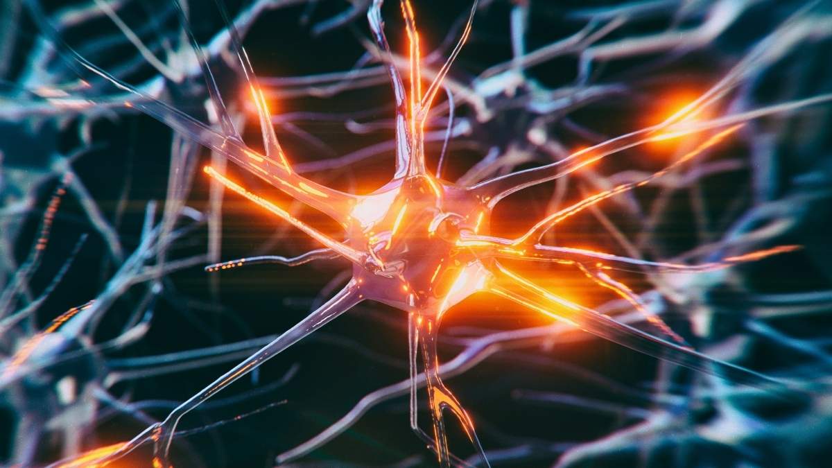 Ελληνάρας: Καπνίζει μέσα στο λεωφορείο και κάνει κάτι το απαράδεκτο