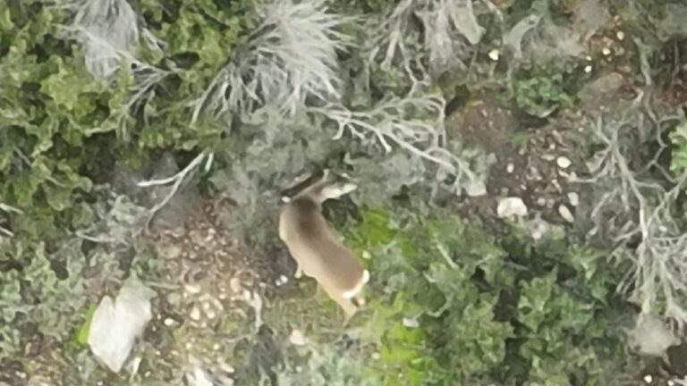 Στους δρόμους ξανά οι συνταξιούχοι για αξιοπρεπείς συντάξεις: «Θα παλεύουμε όσο είμαστε όρθιοι»