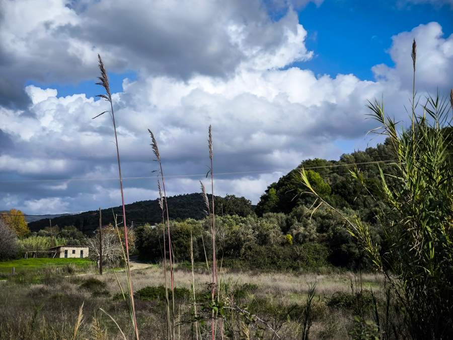 Η Κίμπερλι Γκιλφόιλ συναντήθηκε με τον Ντόναλντ Τραμπ και τον ενημέρωσε για την εξέλιξη των ελληνοαμερικανικών σχέσεων