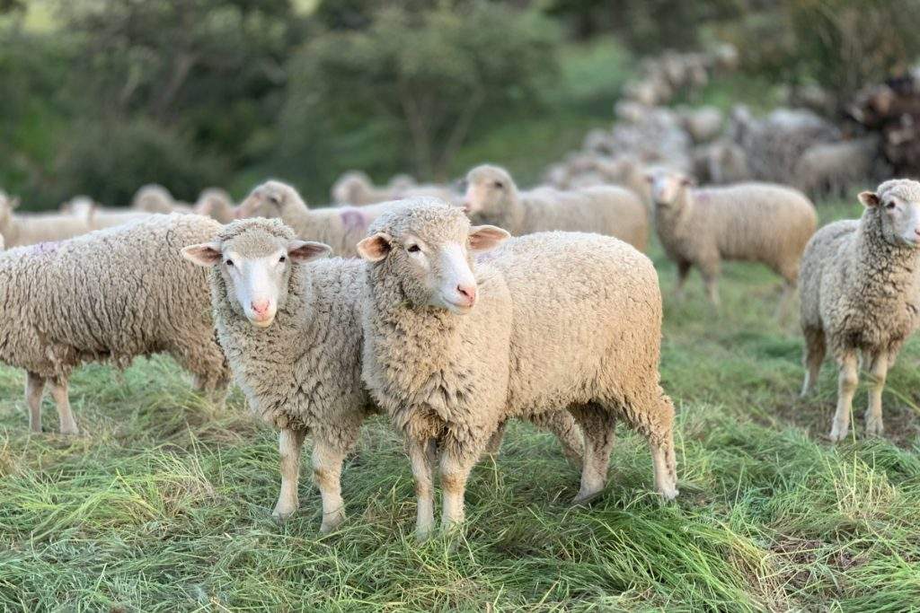 Να μ’ αγαπάς: Ένας έρωτας από το παρελθόν ταράζει τη Φωτεινή