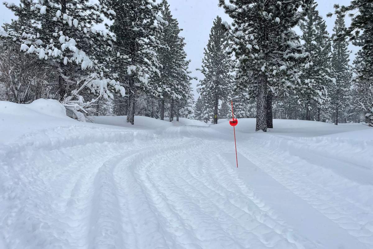 «Αισχρή ψεύτρα» η Βιρτζίνια Τζιούφρε – «Ένας από τους σπουδαιότερους άνδρες» ο Άντριου, σύμφωνα με την πρώην δούκισσα Φέργκι