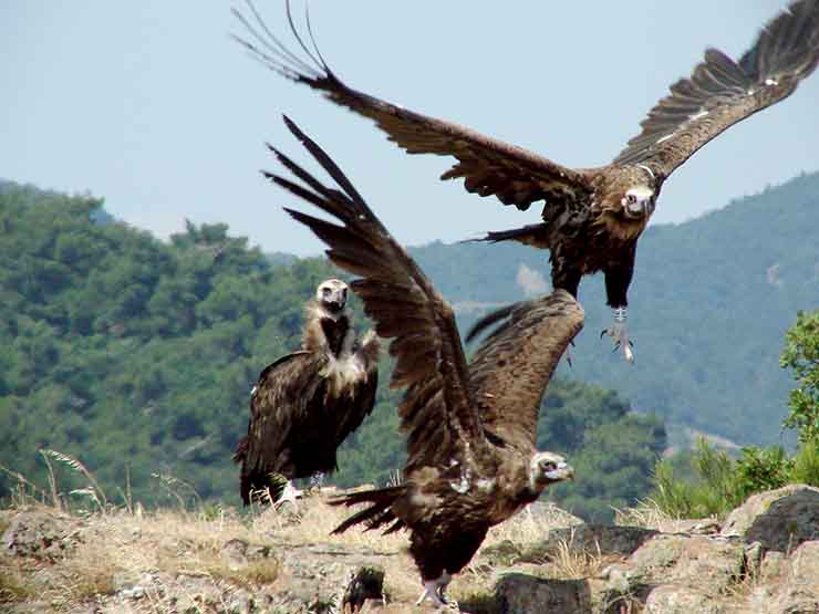 Grand Hotel: Η Κόμισσα υποτιμά τον Αλέξανδρο – «Κοιμάσαι όρθιος»