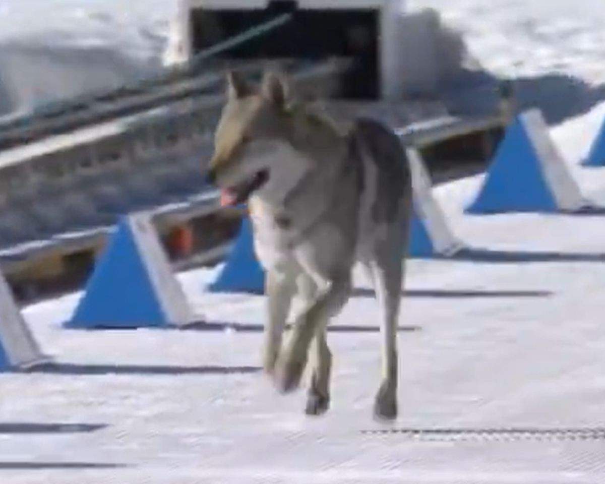 ΟΦΗ: Οριστικά χωρίς κόσμο το παιχνίδι με τον Παναθηναϊκό