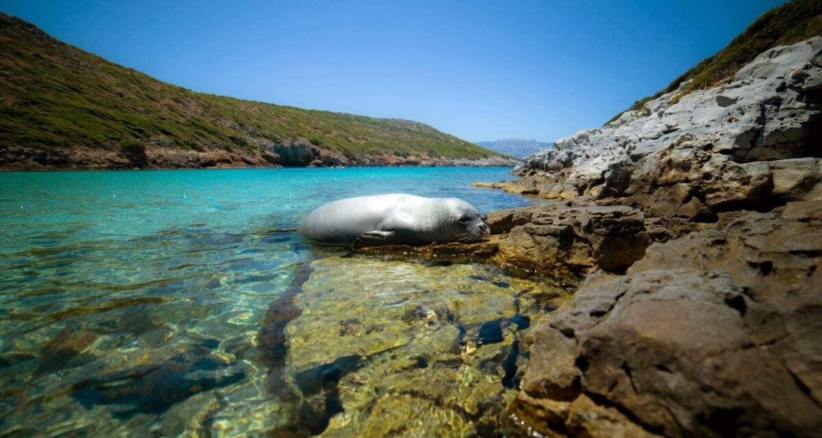 Επεισόδια μεταξύ νοσηλευτών και αστυνομικών στο νοσοκομείο Νίκαιας κατά την επίσκεψη Γεωργιάδη