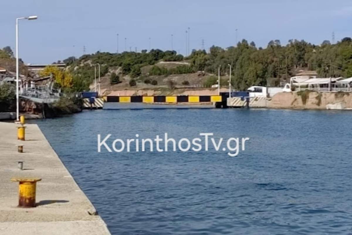 Βιολάντα: Οι 15 καταθέσεις και το κονδύλι των 30.000 ευρώ που απορρίφθηκε «καίνε» τον ιδιοκτήτη