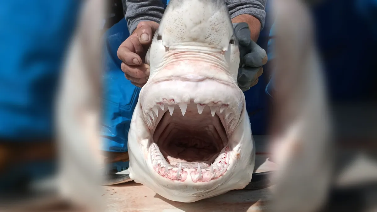 Υπέρταση: 5 απλές πρωινές συνήθειες για να πέσει η πίεση