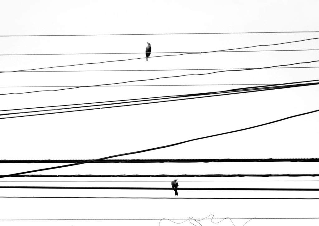 To σύνδρομο των ανεπίγνωστων