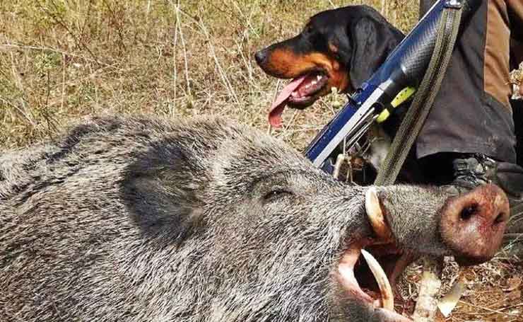 Σέρρες: Χρηματοδότηση 100% για αθλητισμό και πολιτισμό από το LEADER 2023-2027