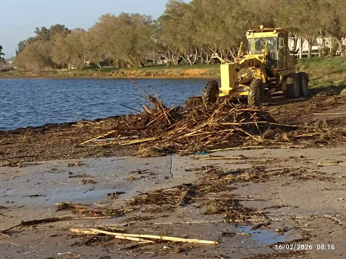 Απίστευτο: Τα πρώτα καρφωτά περιλαίμια σκύλων δημιουργήθηκαν στην αρχαία Ελλάδα!
