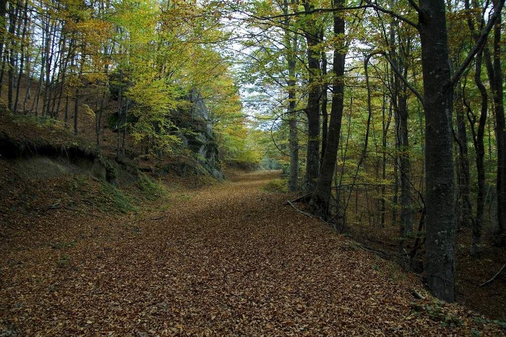 Το ηλεκτρικό «μίνι-θαύμα» της BYD έρχεται να ταράξει την Ιαπωνία