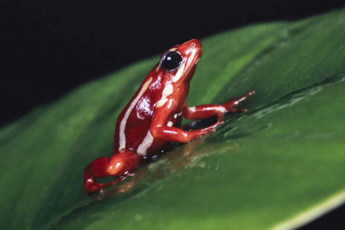 Επιχείρηση ταυτοποίησης των εικονιζόμενων από το ΚΚΕ – Συγκρίνουν τις εικόνες με στοιχεία αρχείου