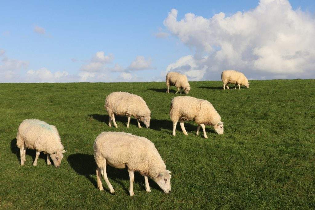 Ανατροπή Ι.Χ. στο Ηράκλειο: Ελαφρά τραυματισμένες δύο γυναίκες στην οδό Ούλοφ Πάλμε