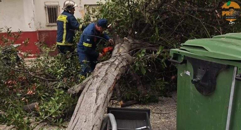 Συναγερμός στον Πειραιά: Ακυβέρνητο κρουαζιερόπλοιο με περισσότερους από 3.000 επιβαίνοντες