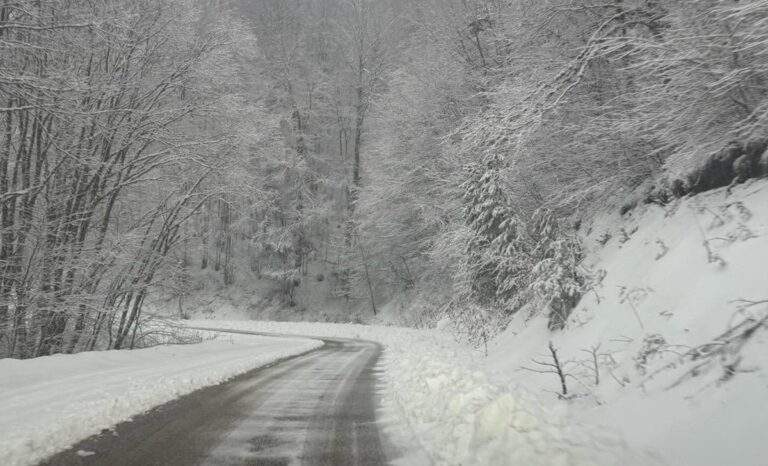 Ιράν: Απελευθερώθηκε ο διαδηλωτής Ερφάν Σολτανί – Τι δήλωσε ο δικηγόρος του για την κατάστασή του