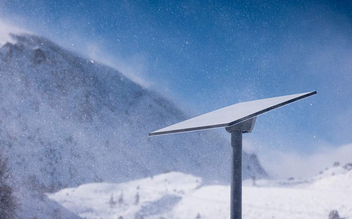 Ο Μπέης Ριζίων επιστρέφει και φέτος