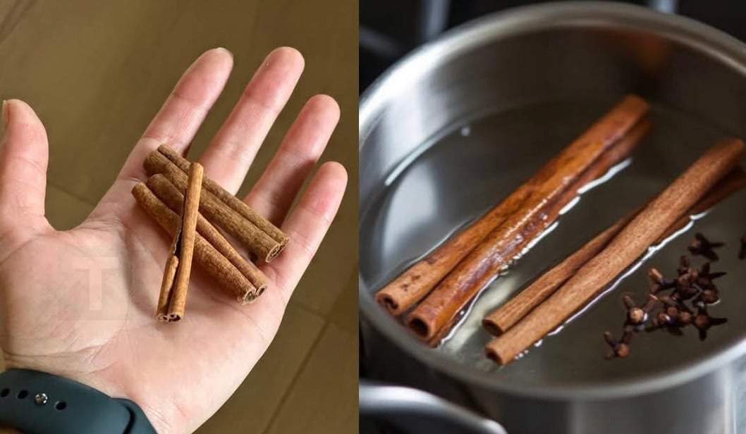 Κωνσταντοπούλου για καταγγελία εργαζόμενης: «Είναι ψευδές ότι εργάζεται στην Πλεύση Ελευθερίας»