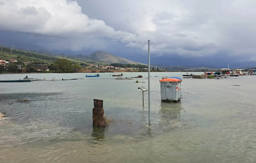 Λαμία: “Δεν έβλεπα μπροστά μου από τον ήλιο, δεν πίνω ποτέ” – “Έχει πάρκινσον”, είπε μάρτυρας για τον 85χρονο που προκάλεσε την καραμπόλα στη Φθιώτιδα (Βίντεο)