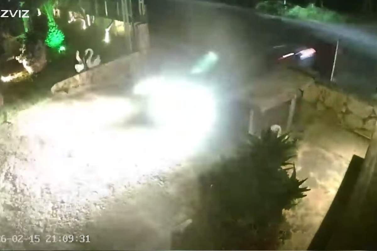 Γερμανία: Τραυματισμένος κορμοράνος ζήτησε βοήθεια από νοσοκομείο… χτυπώντας την πόρτα