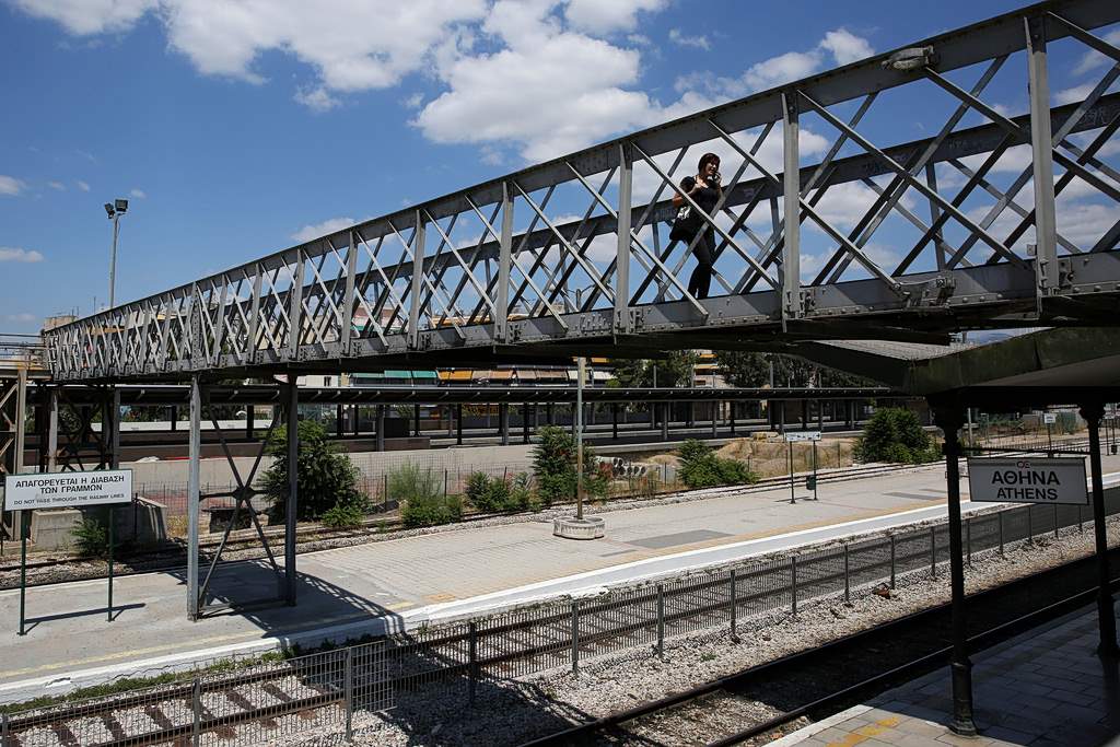 Κίνα: Viral το βίντεο με τα επτά σκυλιά που δραπέτευσαν πριν φαγωθούν και περπάτησαν 17 χιλιόμετρα πίσω στα σπίτια τους