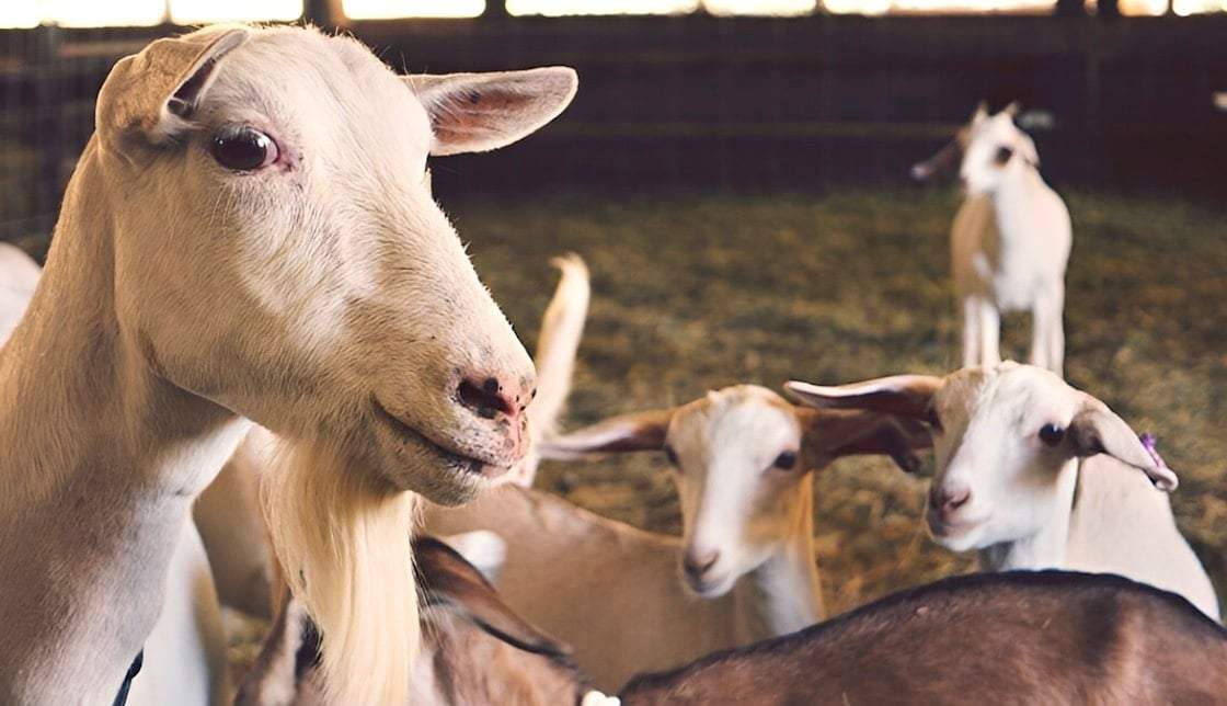 Ανακάλυψη έκπληξη στον Άρη δείχνει την πιθανότητα ζωής