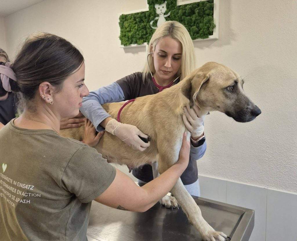 Άναψε το λαμπάκι κινητήρα; 7 βήματα που σώζουν αυτοκίνητο και πορτοφόλι