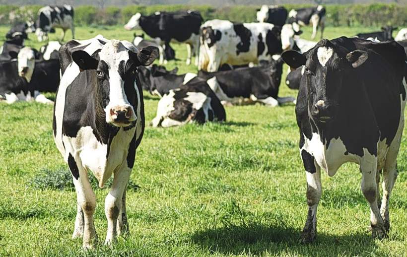 Να μ’ αγαπάς: Χάνει τον κόσμο κάτω από τα πόδια της