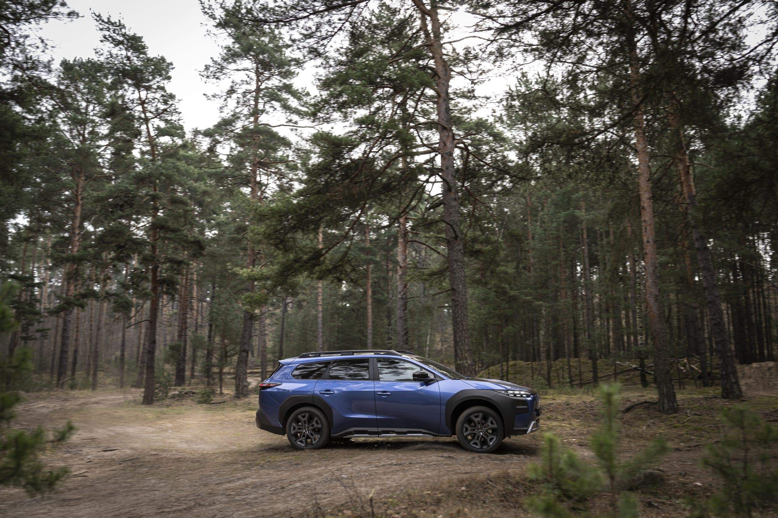 Στον Ι.Ν. Αγίου Γεωργίου Νιγρίτας το Τίμιο Ξύλο από το Άγιο Όρος