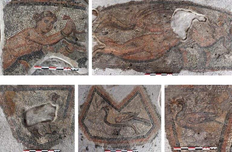 Μέτρα στήριξης: Τι θα ισχύει για επιδότηση στο diesel, fuel pass, εκπτώσεις στα ακτοπλοϊκά – Δείτε πίνακες και παραδείγματα