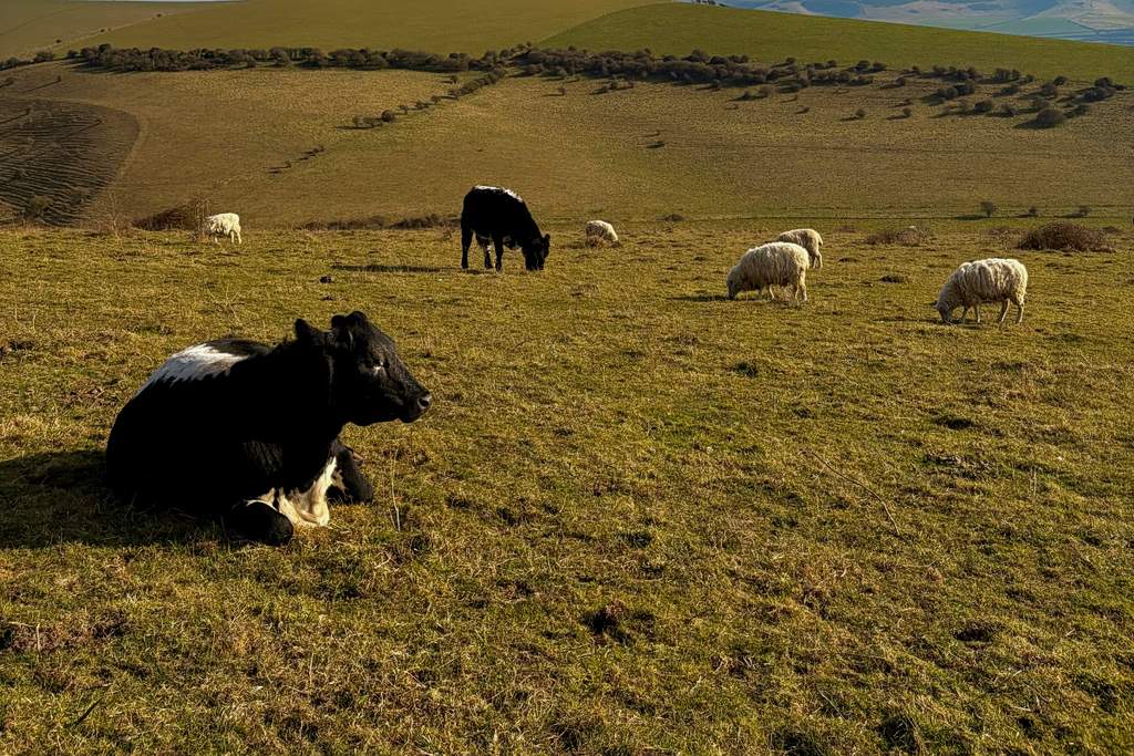 Να μ’ αγαπάς: Καταδίωξη σοκ – Το σκάει νύχτα από τη βίλα η…