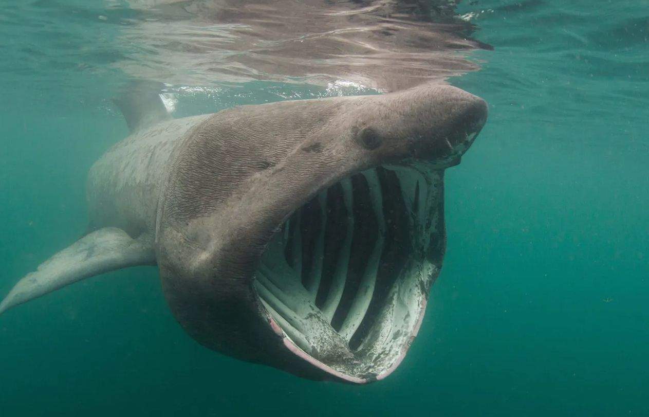 ΔΕΔΔΗΕ: Από την 1η Απριλίου το θερινό ωράριο μειωμένης τιμολόγησης