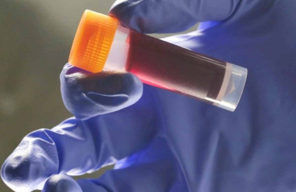 Σύλληψη αλλοδαπού στους Κήπους Έβρου για πλαστά έγγραφα και πλαστογραφία