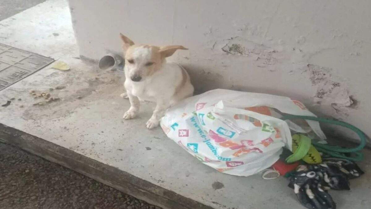 Μαρινάκης για υποκλοπές: «Η Δικαιοσύνη έχει πει ότι δεν υπάρχει ευθύνη κρατικού λειτουργού»