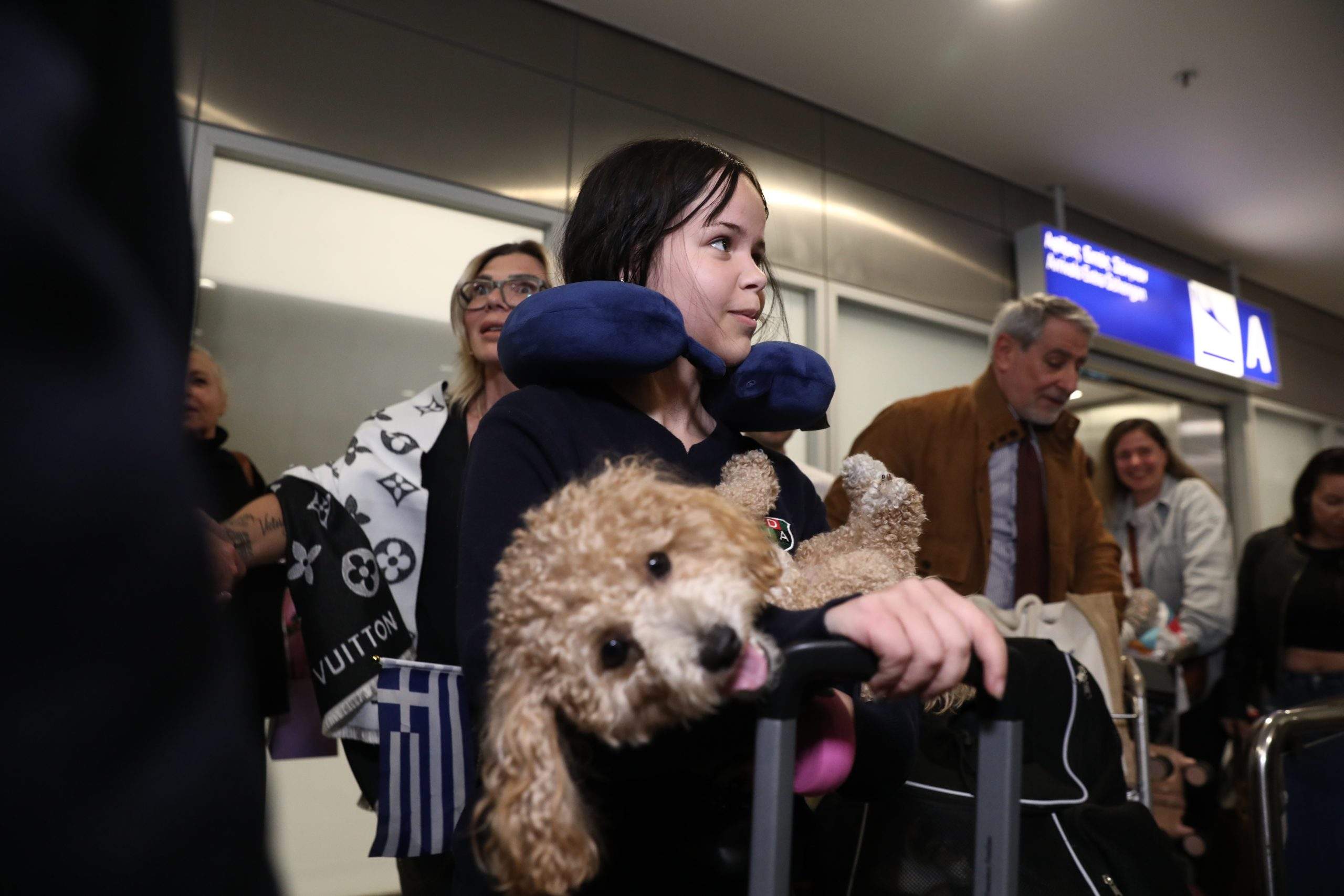 Πρόγραμμα φύτευσης 6.000 δέντρων για την ενίσχυση του παράκτιου πευκοδάσους της Σάνης στη Χαλκιδική