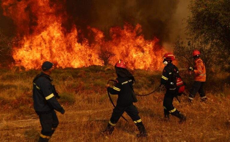 «Ντρέπομαι για…» – Έξαλλος ο Κουσουλός μόλις έμαθε τι ζήτησε η Όλγα Κεφαλογιάννη
