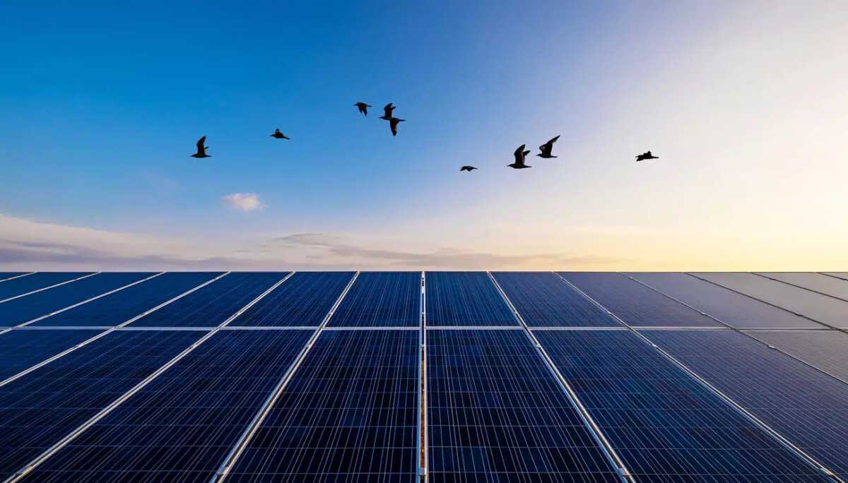 Παναθηναϊκός – Μονακό ανάλυση: Ο ρόλος του πάγκου και «καυτός» Κέντρικ Ναν