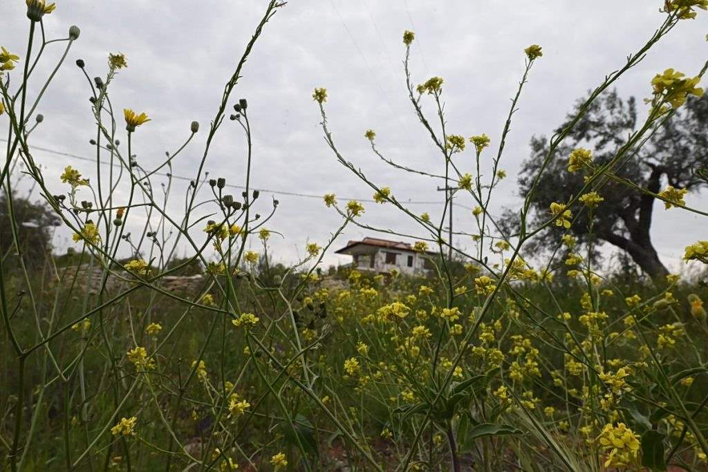 Μία νύχτα μόνο: Ο κόσμος του Σταύρου καταρρέει
