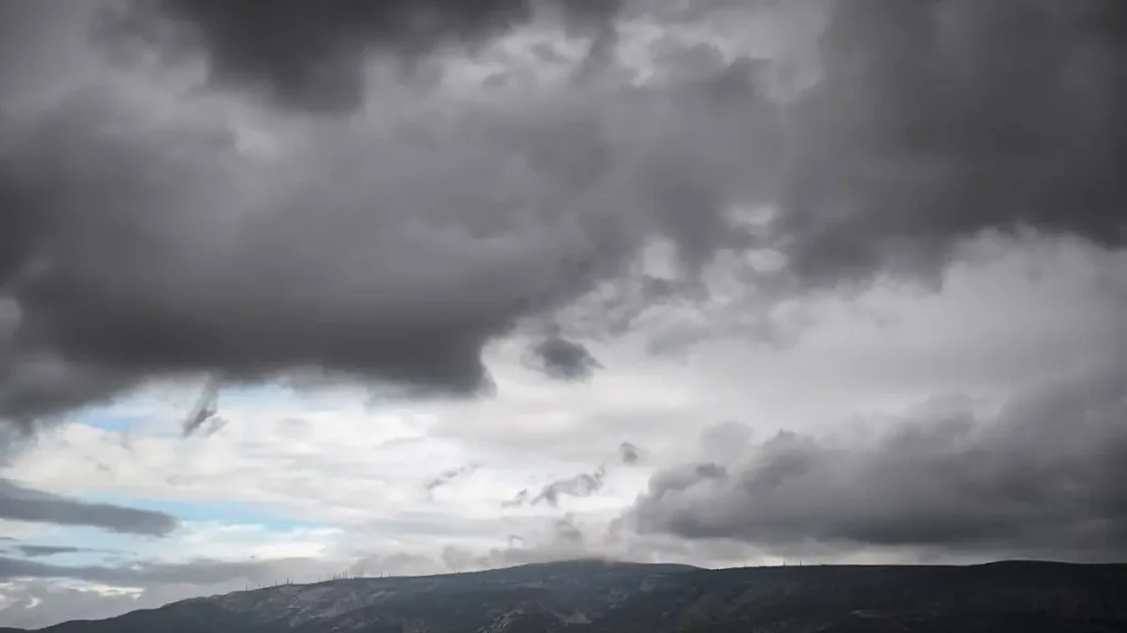 Τα φυτά σας βγάζουν κίτρινα φύλλα; Το απλό λάθος που τα σκοτώνει
