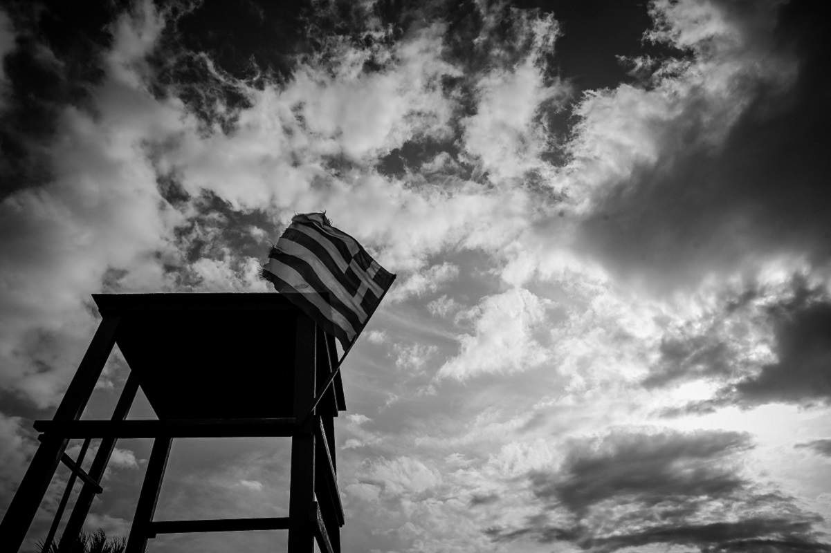 Ινδία: Σπάνιο νεογέννητο πτηνό απέκτησε 50… σωματοφύλακες – Ορόσημο για τη διάσωση του είδους